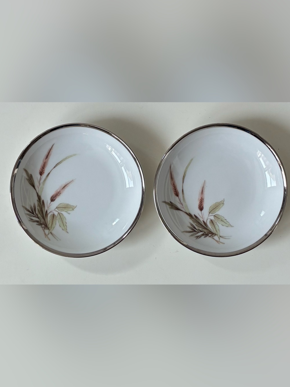 Vintage Grace China Bavaria Lady Diana 18175 plate dish West Germany Set of 2